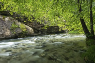 Wild and romantic Weißbach Gorge near Inzell