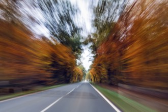 Country road through autumn forest, autumn leaves, oncoming traffic, cloudy weather, zoom effect,