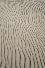 Wave-like wind-formed sand structures in close-up, Hvide Sande, North Sea, Denmark