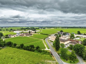 Vineyard of Chateau Branaire-Ducru from a drone, Saint-Julien-Beychevelle, France