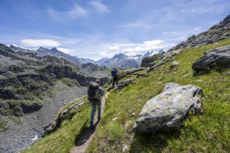 Mountaineer on hiking trail in mountain landscape, descent at Col du Louvie, view of the summit of