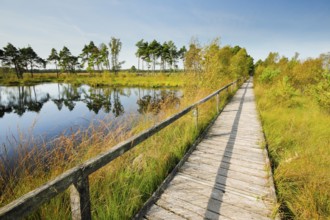 Bohlensteg leads through the Pietmoor in the Lüneburg Heath nature park Park, Lower Saxony, Germany