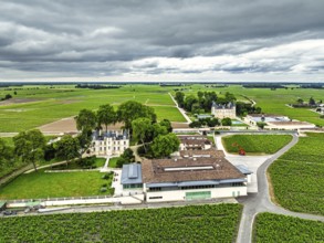 Chateau Pichon Longueville Comtesse de Lalande Vineyard and Chateau Pichon Longueville Baron