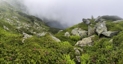 Wisps of mist drift over Kaltenbachsee, Schladminger Tauern, Sölktäler nature park Park, St.