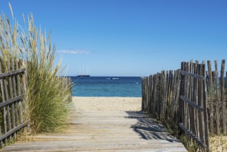 Sandy beach beach, Plage de Tahiti, Saint Tropez, Var, French Riviera, Provence-Alpes-Cote d'Azur,