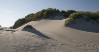 Gently rolling dunes with beach grass, blue sky, Hvide Sande, North Sea, Denmark