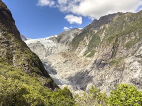 Hiking trail of the Roberts Point Track at Franz Josef Glacier, Franz Josef, Waiau, South Island,