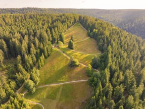 Wide view of a green forest landscape with meadow and paths, Retro Freizeitpark Poppeltal giant