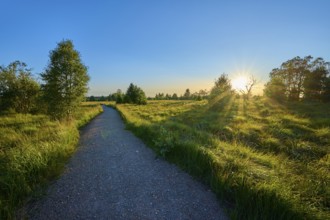 A path leads through nature, illuminated by the sun on the horizon, High Fens, Eifel, Liège,