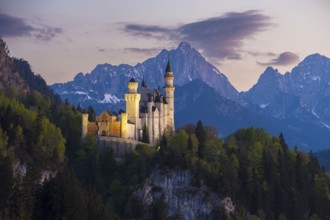Romantic castle embedded in a mountain landscape in the evening, Neuschwanstein, Schwangau near