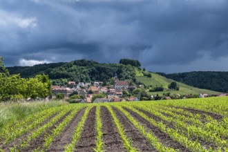 Dark clouds in the sky, Castell, Steigerwald nature park Park, Lower Franconia, Franconia, Germany
