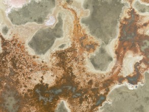 Salt marsh at the Skeleton Coast. Aerial view. Drone shot. Dorob National Park, Namibia