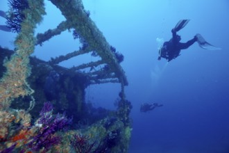Divers explore a shipwreck in deep, clear water. Dive site wreck Le Grecq, Giens peninsula,