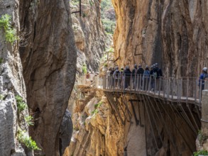 Tourists on the elevated path of the caminito del rey, along a deep gorge, Andalusia, Spain