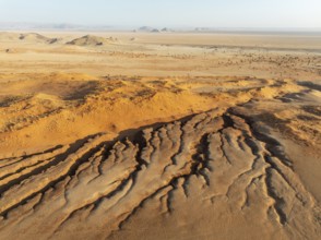 Canyon, sand dunes and camelthorn trees (Vachellia erioloba) in the Tsondab Valley in the Namib