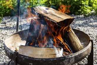 Wood fire in fire bowl