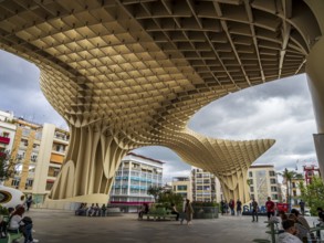 Setas de Seville, mushroom-shaped wooden platform, Seville, Andalusia, Spain