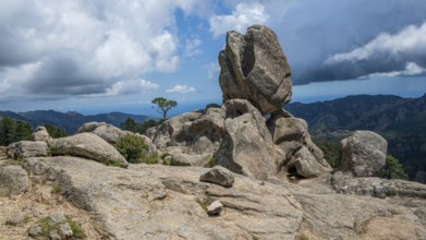 Hiking trail to the Cascade de Piscia di Gallo waterfall, Piscia di Ghjaddu, Alta Rocca, Corsica,