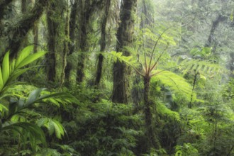 While shooting for my coffee table book on Costa Rica's natural wonders, I needed a shot that