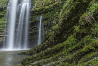 Two beautiful waterfalls flow gracefully into a tranquil pool lined with vibrant green foliage.