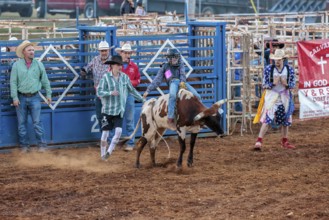 Young boy participating in a steer riding event during the Hardin County Fair Rodeo in Savannah,