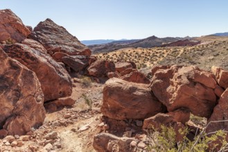 Red sandstone boulders along a trail at Valley of Fire State Park near Overton, Nevada
