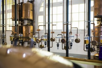 Interior view, Perfumery Molinard, Perfume manufacturer, Grasse, Alpes Maritimes, Provence Alpes
