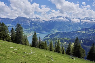 View of the snow-covered Alps and Lake Wägital, Canton Schwyz, Switzerland