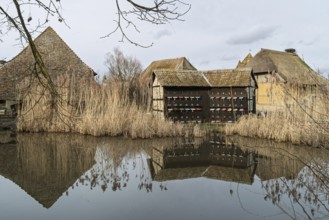 Beehive, Eco-Museum, Ungersheim, Alsace, France