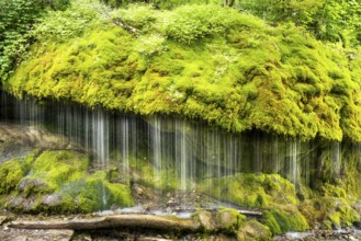 The Dietfurt waterfall, moss and stones, long exposure, Wutach Gorge, Black Forest,