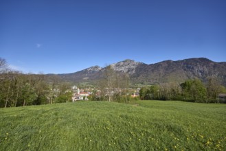 Total views, mountain landscape, mountains, trees, coniferous forest, blue sky, cloudless, Bad