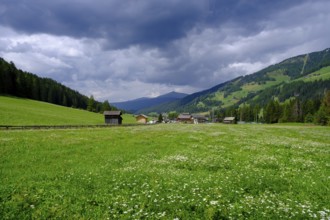 Sesto, Dolomites, Val Pusteria, South Tyrol, Italy