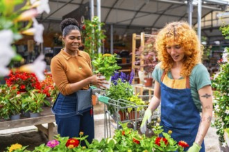 Two young women working in a garden center are pushing a shopping cart full of plants and flowers