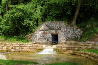 Erft-Quelle, Holzmülheim, Eifel, North Rhine-Westphalia, Germany