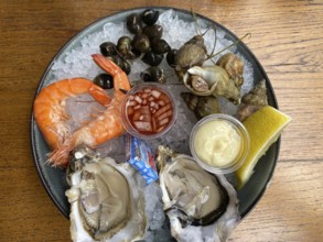 Small seafood platter, assiette de fruit de mer, prawns, oysters, bulots, whelks, bigorneaux, large
