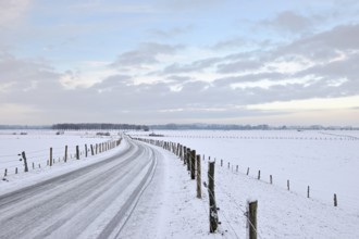 Winter in North Rhine-Westphalia... Bislicher Insel, Lower Rhine, view over the nature reserve