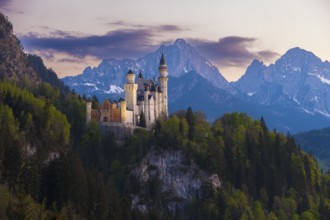 Majestic Neuschwanstein Castle in front of an impressive Alpine panorama, Schwangau near Füssen,