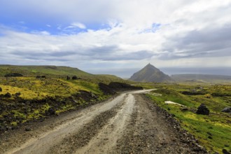 Gravel track through barren moss-covered volcanic landscape, cone-shaped mountain Stapafell, rain