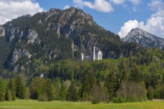 A Neuschwanstein Castle surrounded by dense, green forest vegetation in the middle of a mountainous