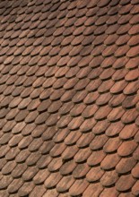 Red shingle roof, house roof, detail, Steyr, Upper Austria, Austria