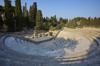 Ancient round amphitheatre with stone steps, surrounded by tall trees and ruins, Ancient Theatre,