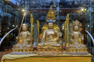 Gangaramaya Buddhist Temple, Interior, Colombo, Sri Lanka