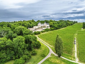 Castle of La Riviere, Vineyard Chateau de La Riviere from a drone, Bordeaux, France
