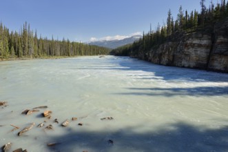 Athabasca River, Icefields Parkway, Jasper National Park, Alberta, Canada