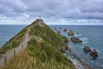 A path leads to a lighthouse on a grassy hill on a rocky coast, summer, Nugget Point Lighthouse,