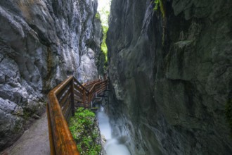 Natural beauty of the Alps, the Innersbachklamm gorge near Unken in Austria