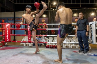 Thai boxing Muai Thai boxer in action, Pattaya, Thailand