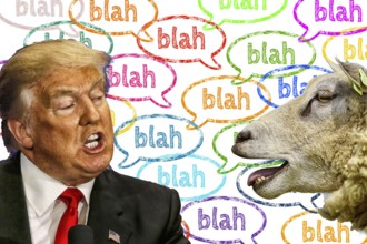 Symbolic image, Trump and sheep at blah-blah, governing by decree, no more United States, democracy