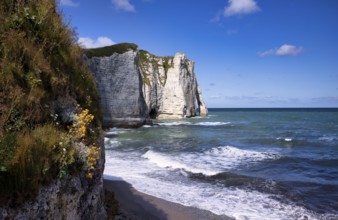 Rock arch Falaise or Porte d'Aval, Étretat, sea, steep coast, cliffs, chalk cliffs, alabaster