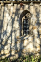 Shadows from surrounding trees create a striking pattern against a weathered stone wall featuring a